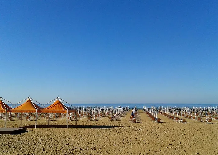 Torcello Бибионе